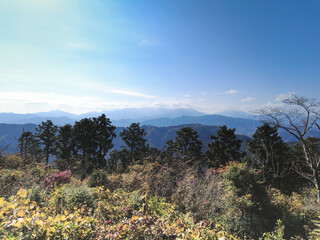高尾山の紅葉　【日本の秋】紅葉　Japanese autumn leaves
