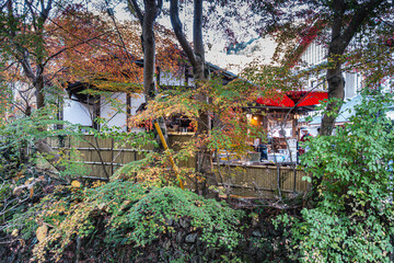 【日本の秋】紅葉　Japanese autumn leaves　日本の景色