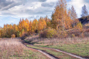 Fototapeta premium Autumn trees with colorful foliage on slope of a hill and a ground winding road.