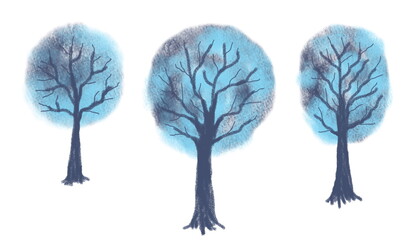 Hand-drawn watercolor blue winter trees with crown and branches. Winter park. Elements for patterns or greeting card, isolated on a white background.