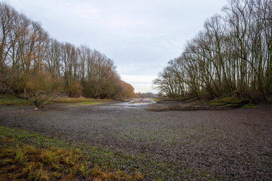 Krefeld-Friemersheim - View  to the De Ros, a nature reserve nearby to the River Rheinehas been fallen dry, Germany
