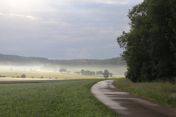 Fototapeta na wymiar Landschaft im Morgennebel