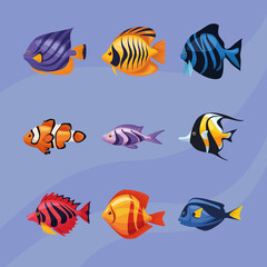 Naklejka premium sealife underwater nine icons