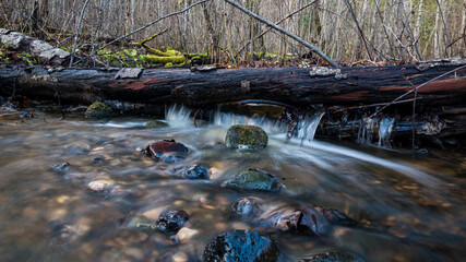 A rocky creek with a little waterfall. stream between tree trunks.