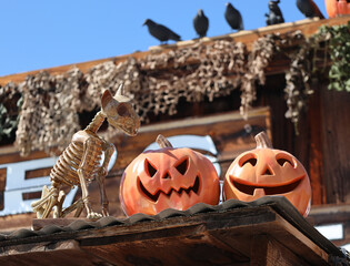 Spooky Halloween Decor, Pumkins and Skeleton Dog