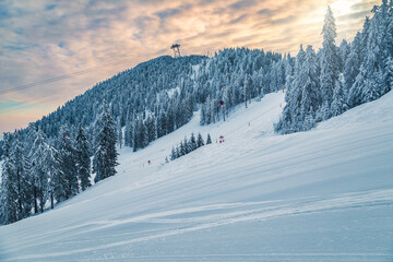 Ski slopes with fresh prepared routes in the forest, Romania
