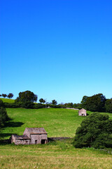 Hillside farm