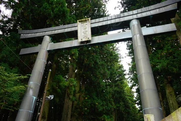 Poster Torii Gate of Kitaguchi Hongu Fuji Sengen-jinja Shrine in Yamanashi, Japan - 日本 山梨県 北口 本宮 富士浅間神社 鳥居 © Eric Akashi