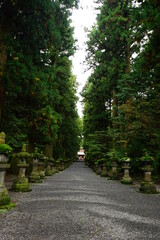 Sacred Path to Kitaguchi Hongu Fuji Sengen-jinja Shrine in Yamanashi, Japan - 日本 山梨県 北口 本宮 富士浅間神社 参道	