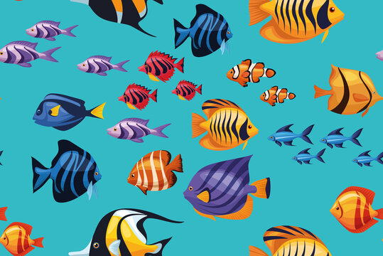 group of exotic fishes