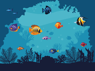 Fototapeta na wymiar exotics fishes underwater