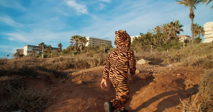 Cute baby boy walking on the sunrise among the withered bushes. Back view of kid in tiger outfit costume going to the party. Child in a pinstripe suit walks up a mountain.