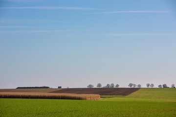 Fototapeta na wymiar agricultural landscape between brussels and namur under blue sky in belgium