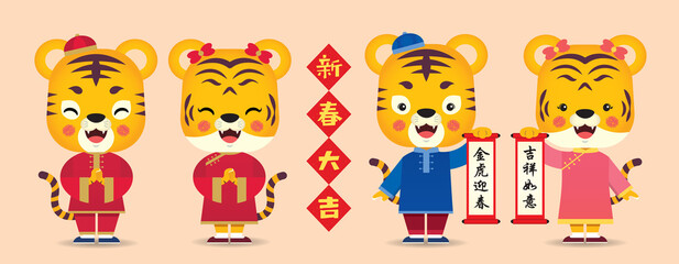 2022 year of the tiger character design. Cute cartoon male and female tigers holding chinese scroll. (text: Chinese New year greetings)