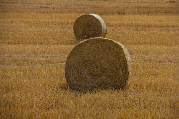 wheat hay bales in St Helena Bay, South Africa, West Coast, brown, cereals © Kate