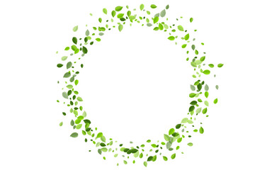Lime Greens Transparent Vector Template. Herbal