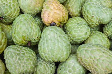 Pile of fresh custard apples ( sugar apple )