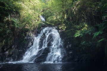 Fototapeta premium Waterfall in a Rainforest in Galicia, Spain