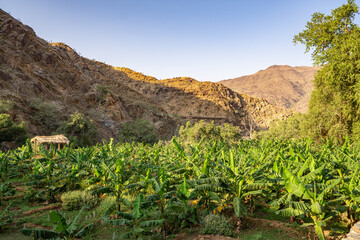 The Ain Al Hajariya Heritage Village, Al Baha, Saudi Arabia
