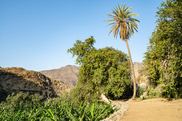 The Ain Al Hajariya Heritage Village, Al Baha, Saudi Arabia

