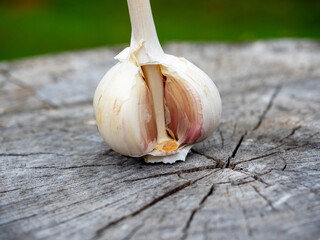 A large background is a head of ripe garlic lying on a wooden stump. A fragrant vegetable, a spice.