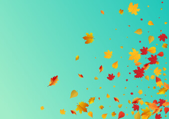 Fototapeta na wymiar Yellow Floral Vector Blue Background. November