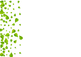 Olive Greens Organic Vector White Background