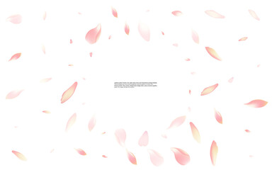 White Rosa Vector Transparent Background. Sakura