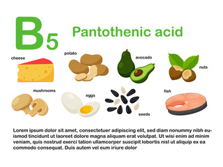 Rectangular poster with food products containing vitamin B5. Pantothenic acid. Medicine, diet, healthy eating, infographics. Products with the name.Flat cartoon food illustration isolated on white.