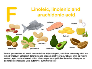 Rectangular poster with food products containing vitamin F. Linolenic and arachidonic acids.Medicine, diet, healthy eating, infographics. Flat cartoon food illustration isolated on a white background.