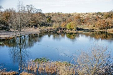 Tranquil lake in the dunes of Zuid-Kennemerland national park near Haarlem, The Netherlands