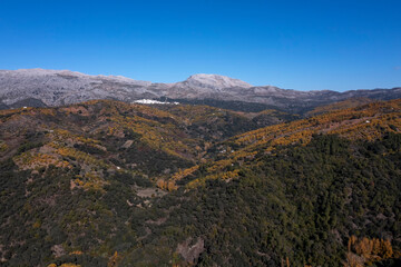 Fototapeta na wymiar Llegada del otoño a los castaños del valle del Genal en la provincia de Málaga, Andalucía