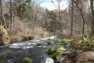 ⒒月、秋の軽井沢へ行ってきました、紅葉の葉も散り町は冬の準備中、