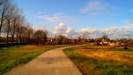 Fototapeta premium road in the autumn