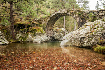 Ancient Genoese bridge over the clear waters of La Tartagine river in the Balagne region of Corsica