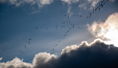 clouds in the sky