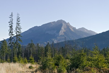 Morning view of Tatra summits from Rusinowa Polana © Marcin