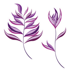 Obraz premium Abstract flower and branch on a white background. Isolated. Drawing for logo, advertising, invitation cards.