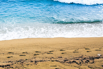 wave on the beach