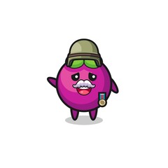 cute mangosteen as veteran cartoon
