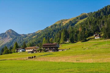 The late summer landscape near the Alpine village of Sauris di Sopra, Udine Province, Friuli-Venezia Giulia, north east Italy
