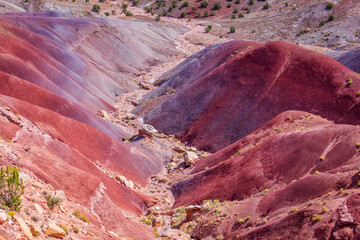 Amazing violet-red hills. Beautiful view of the Burr trail road, Utah, USA