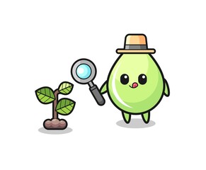 cute melon juice drop herbalist researching a plants