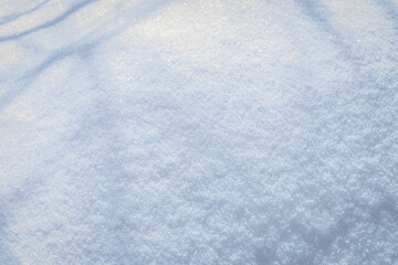 Fototapeta premium A beautiful snowy surface made of fluffy snow under a bright winter sun, with shadows on the snow. Merry Christmas and Happy New Year