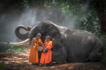 Two novices are talking and putting their hands in the alms bowl. One novice is standing and another novice is sitting on the front leg of elephant. Taken at Surin Province in Thailand.