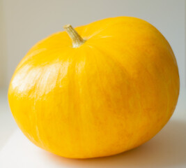 pumpkin isolated on white