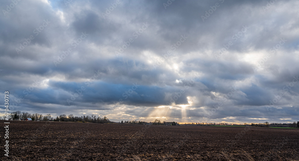 Wall mural clouds over the field