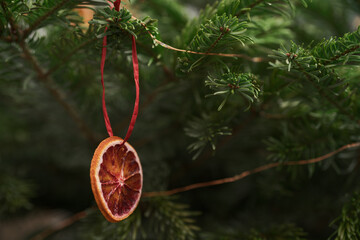 Closeup christmas tree with dried orange hanging on it