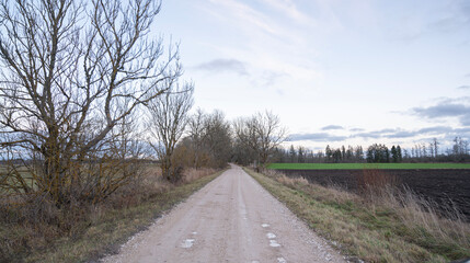 Fototapeta premium road in the countryside