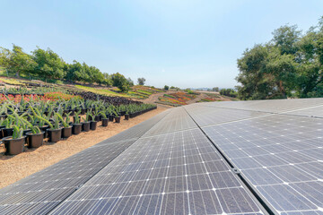 Large garden field with ground-mounted solar panels
